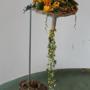 IMG_1035